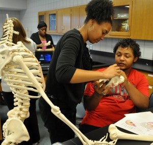 BCCC SKELETON: Instructor Krystal Taylor helps Nick Blount identify the bones and markings of the human skeleton during an anatomy and physiology class.  