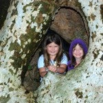 Local girls Penny Fox and Sophia Zeigler pose in a giant Sycamore tree growing at the edge of the picnic are in Pettigrew State Park.