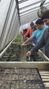 AMANDA WATKINS SCHOOL PROJECT: Northside High School Ag students work in the school’s greenhouse. The FFA organization strives to teach students about all of the different career fields in agriculture. 