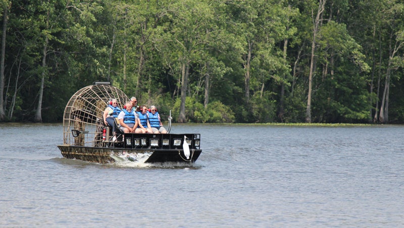 Black Bear Festival marks exciting fifth anniversary - Washington Daily