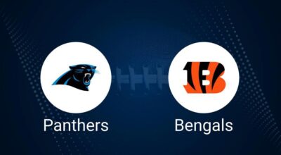 Panthers vs. Bengals: Odds, Moneyline, and Spread - Week 4